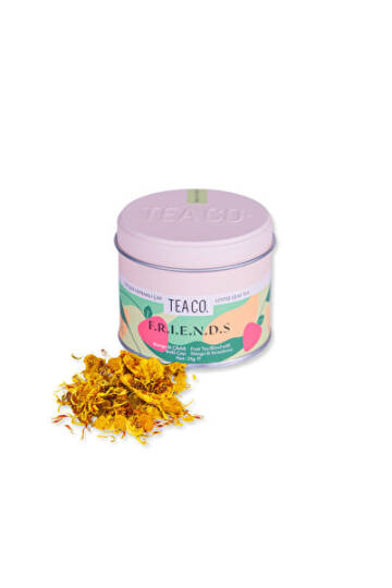 Tea Co Friends Egzotik Meyveli Çay 25 gr Teneke Kutu - 1